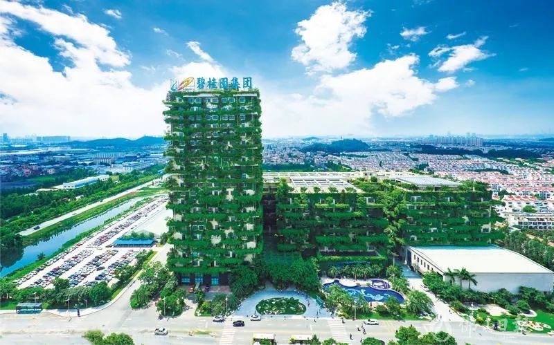 碧桂园集团总部大楼。张弘弢/摄