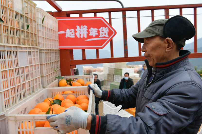 一筐筐脐橙运到全国各地。方向 摄