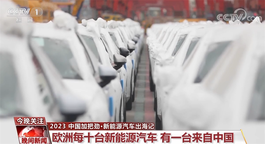 上海外高桥海通码头调度员 林峰:
