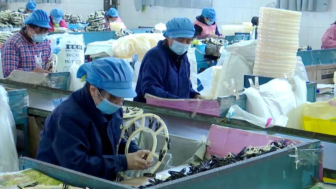 近日,梧州日新塑料实业有限公司的仓库里,工人们正忙着将一箱箱打包好的塑料衣夹、塑料晒架等制品装运上车。来源:梧州新闻