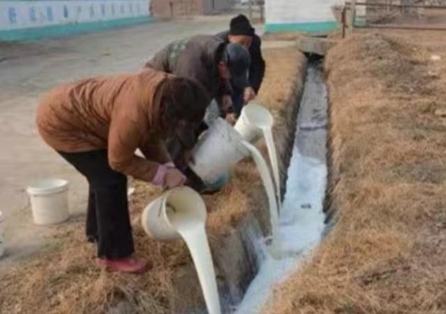 (图/观察者网)