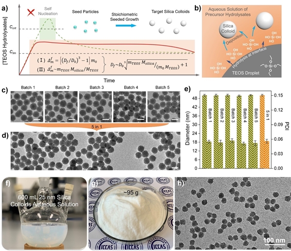 图. 化学计量式种子生长策略用于批量定制单分散二氧化硅胶体颗粒