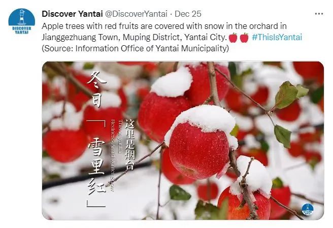 编辑/栾悦