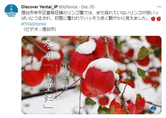 编辑/栾悦