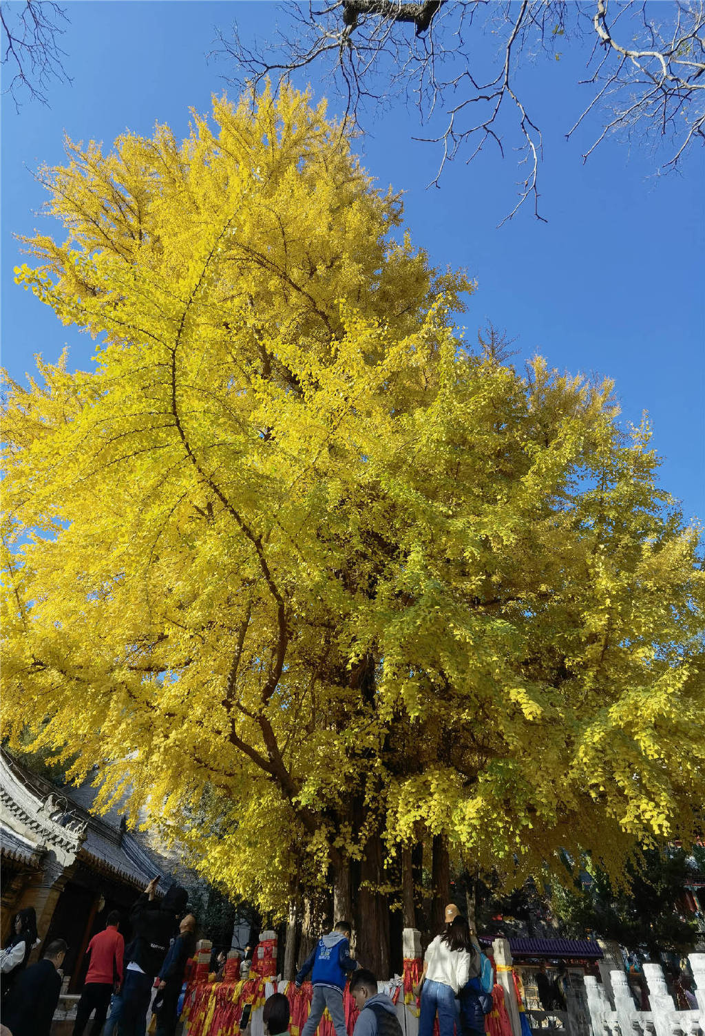 京西门头沟一日游，新年祈福，围炉煮茶，玩冰雪，泡私汤