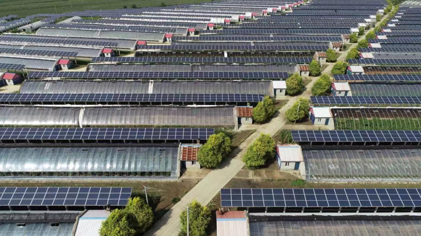 有机农业生态循环参赛团队落地长春市郊的种植基地
