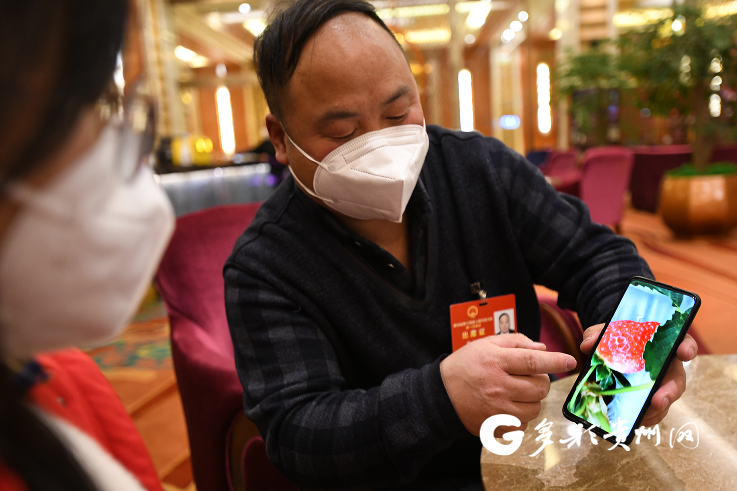 贵州省人大代表李世瑶向记者展示草莓