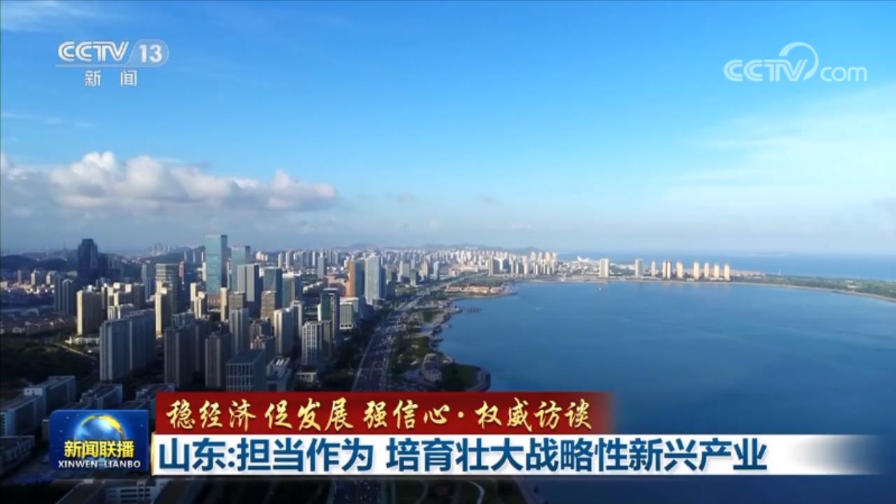 【稳经济 促发展 强信心·权威访谈】山东：担当作为 培育壮大战略性新兴产业|山东省|中央经济工作会议_新浪新闻