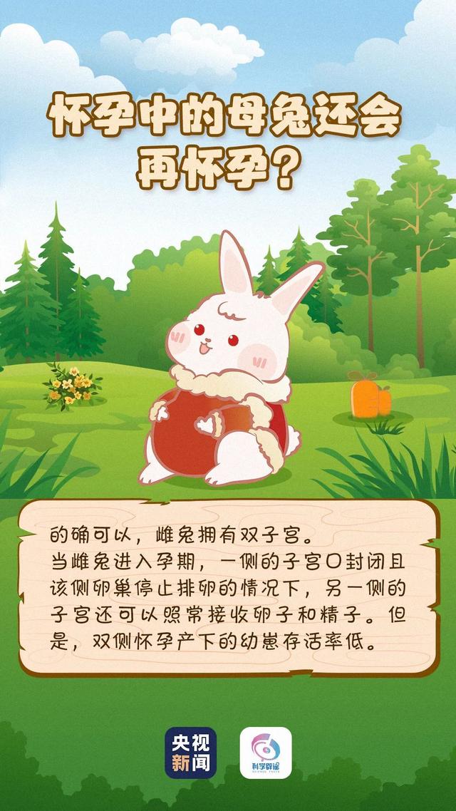 兔子可以吃胡萝卜上的叶吗 ea19-a9ebf7557918732ed19991a265ebe63a.jpg