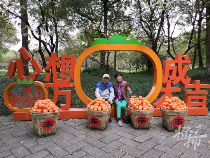 ▲不久前,杨大伯和老伴一起在西溪湿地合影