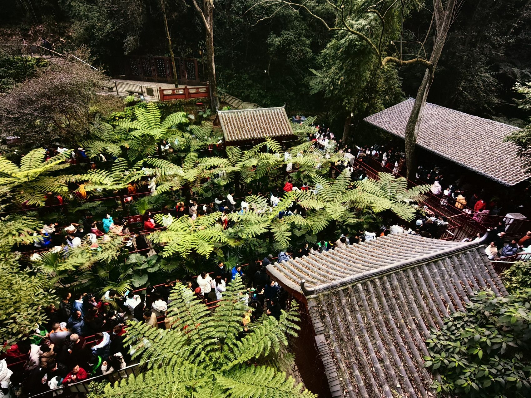 游览乐山大佛游客排起长队。乐山大佛景区供图