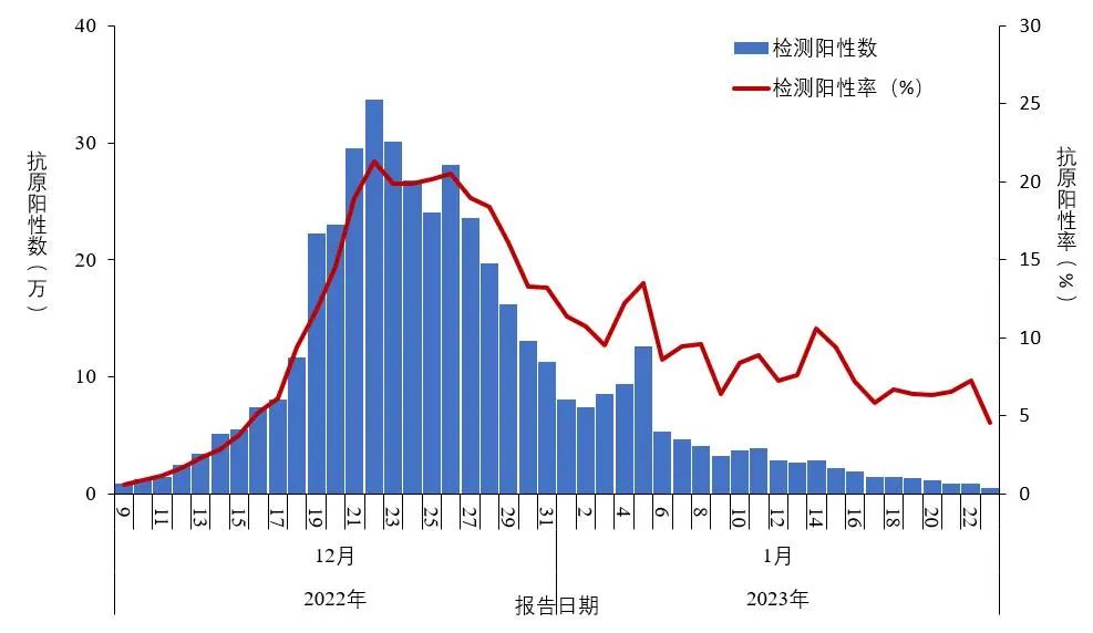 图 1-2 全国报告人群新型冠状病毒抗原检测阳性数及阳性率变化趋势(数据来源于31个省(区、市)及新疆生产建设兵团报告)