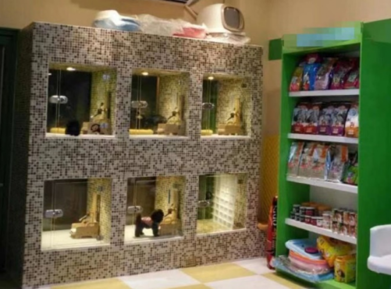 宠物狗寄养价格（“一窝难求”！春节7天宠物寄养爆单，价涨两成，相关上市公司受益）