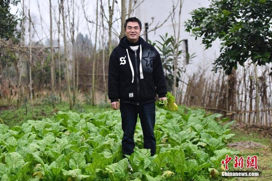 1月初，四川达州，甘宇在农村老家的菜地。中新社记者 张浪 摄