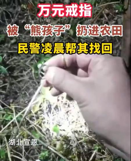 （来源：九派新闻）