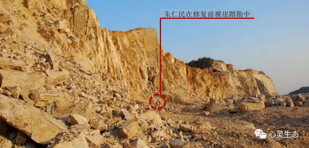△朱仁民在修复前的裸崖陡壁现状中踏勘。