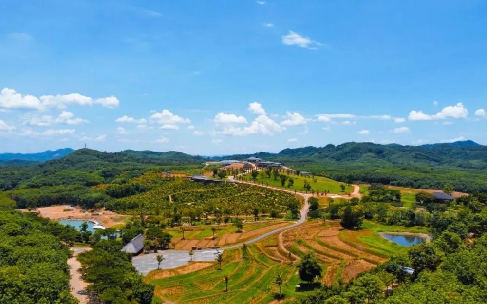 中查村游玩攻略,中查村游玩攻略路线