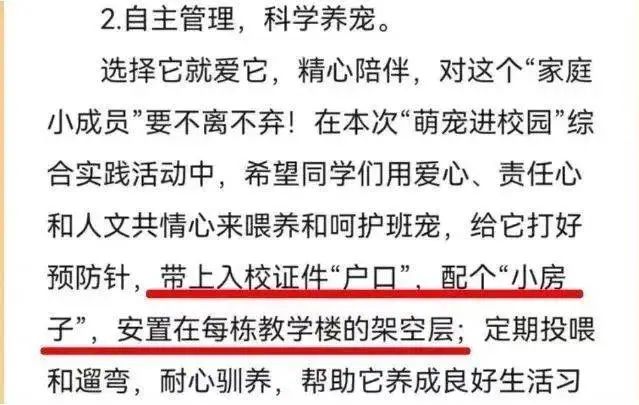 可以带狗去学校吗（上学可以带宠物，是坏事吗？）