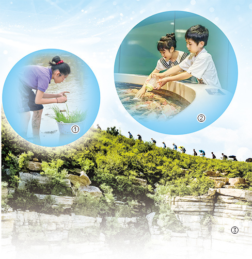 图①:五彩田园中农富玉科普服务基地,小学生在体验插秧。