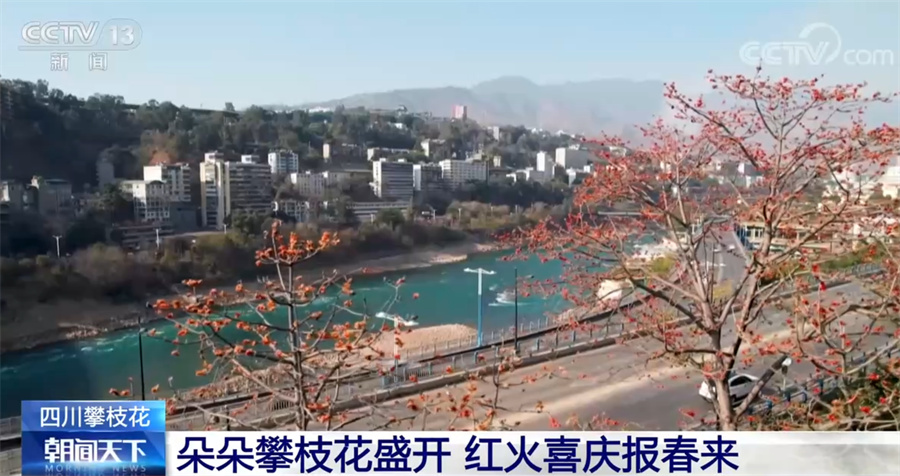 攀枝花有哪些县区 97b9-09944a43147b4531c4c7b477691499a8.jpg