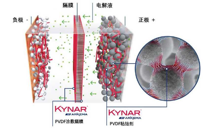 資料來源:IFIND、阿科瑪官網、國海證券