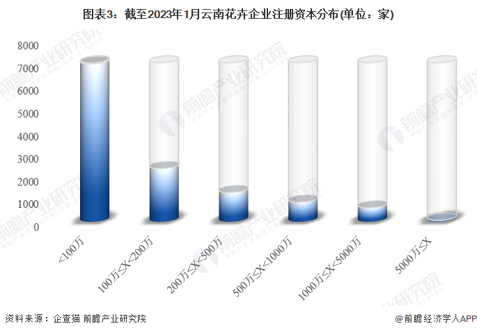 注:已将以美元和港元的注册资本转换为人民币。
