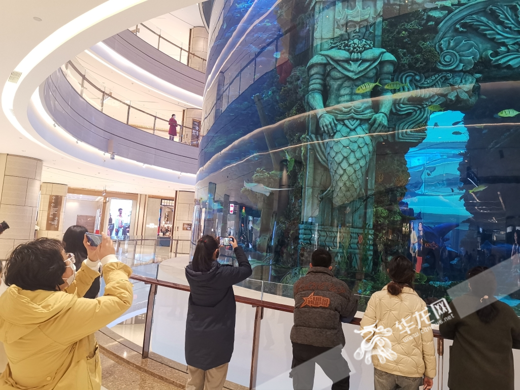 采访团参观走访观音桥商圈。华龙网-新重庆客户端记者 伊永军 摄