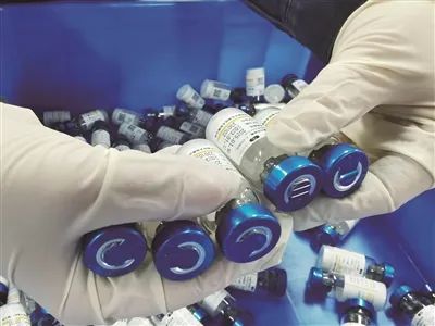 宠物疫苗进价多少钱（“洛阳造”宠物疫苗有望填补国内空白）