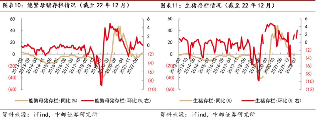 中邮·农林牧渔|周观点:猪价小幅回升,关注生物育种产业化进展