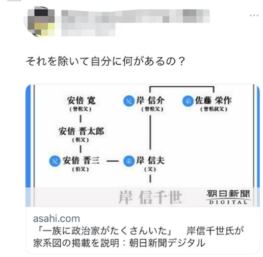 安倍侄子在竞选主页晒家谱图 日本网友表示不满