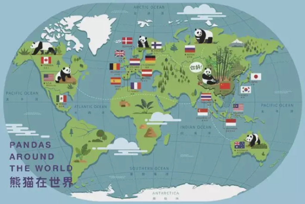 △ 熊猫世界地图一殷頔绘