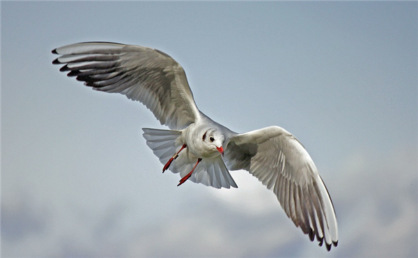 【本文结束】如需转载请务必注明出处:快科技责任编辑:建嘉