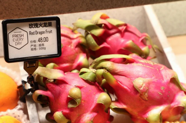 资料图(IC photo)