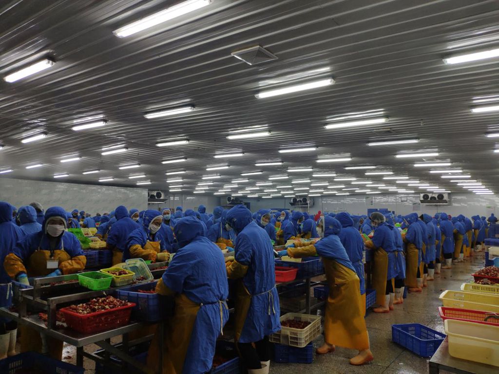 企业生产车间工人正在进行加工作业