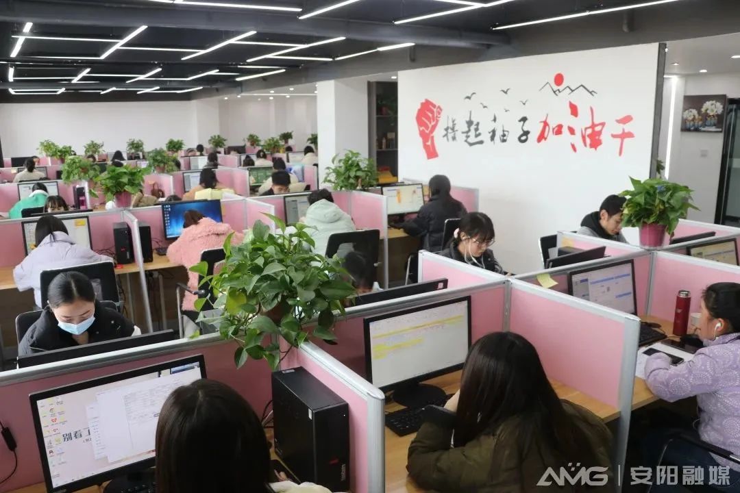 河南趣跃智恒信息咨询有限公司员工在工作(刘剑昆 摄)