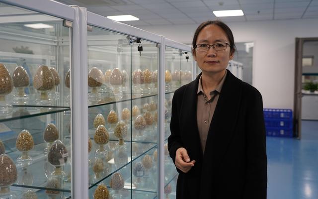辛霞研究员，在国家作物种质库讲述种子的故事。新京报记者 王方杰 摄
