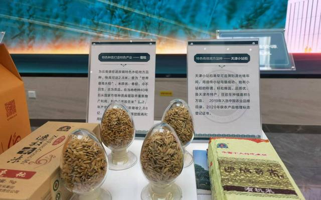 地方品种遮放贡米。新京报记者 王方杰 摄