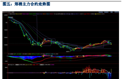 关联品种棉花所属公司：华融融达期货