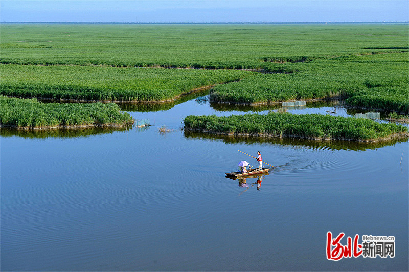 美丽的渤海新区南大港湿地。河北日报通讯员 王少华摄
