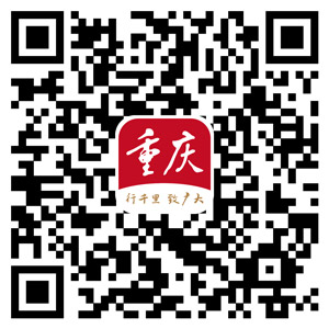 两会记者会 | 朱华荣：成渝如何打造世界级产业集群？汽车产业转型升级是关键一招