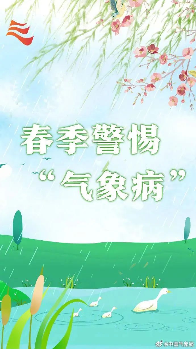 b4ab-6bf89a9d43fa97d1eac2b0cb18fab640.jpg