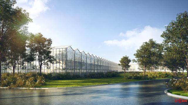 邛崃现代设施农业产业园项目规划图