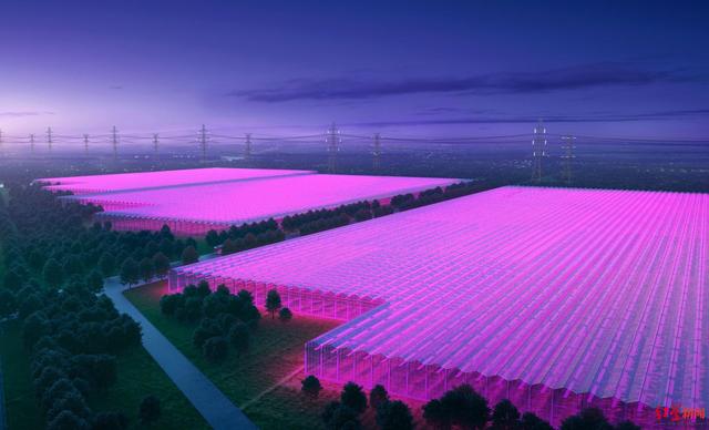 邛崃现代设施农业产业园项目规划图