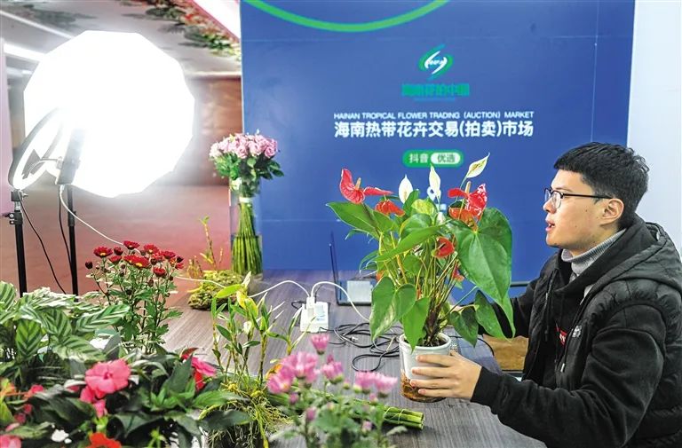 1月18日,在海南热带花卉交易(拍卖)市场,该市场抖音电商运营团队的主播在直播介绍热带花卉。新华社记者 蒲晓旭 摄