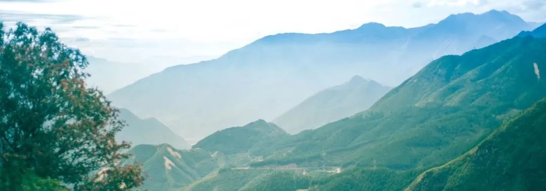 值得听-挂机方案有哪些挂机赚钱的项目可以赚钱（拉菲（顺达平台））挂机论坛(1)