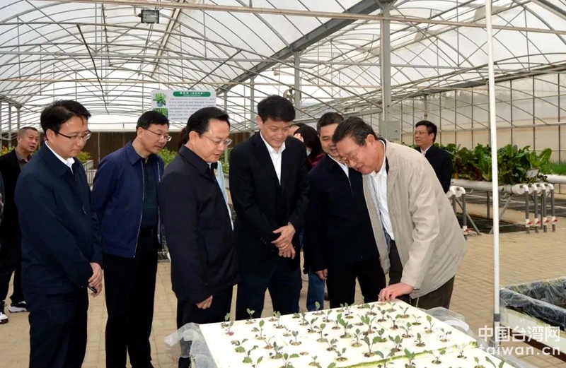 在台湾农民创业园调研(图片来源:安徽省台办)