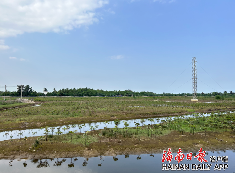 生态治理视频 0ea9-d0daf44c0da08a9eae2fdf802cbe9320.png