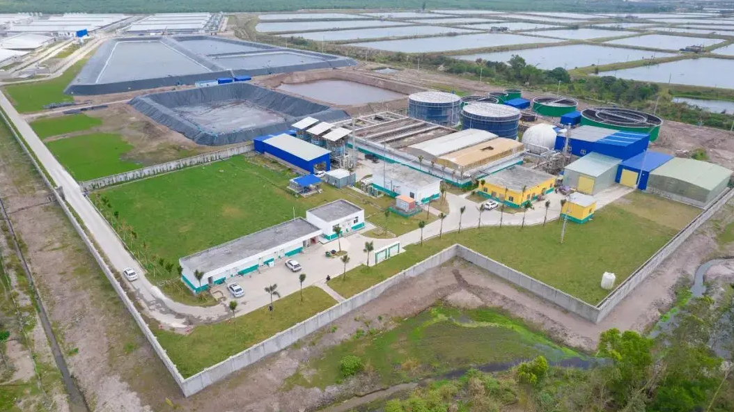 养猪新巨头逆势突围:年出栏量三年破百万,京基智农营收净利近倍增长