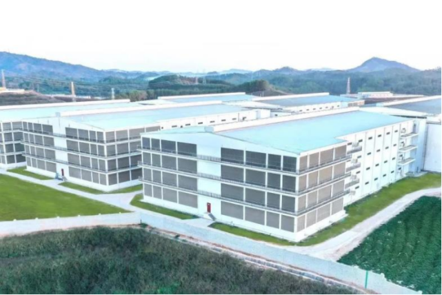 三年生猪破百万2022年业绩大涨,京基智农备受机构看好