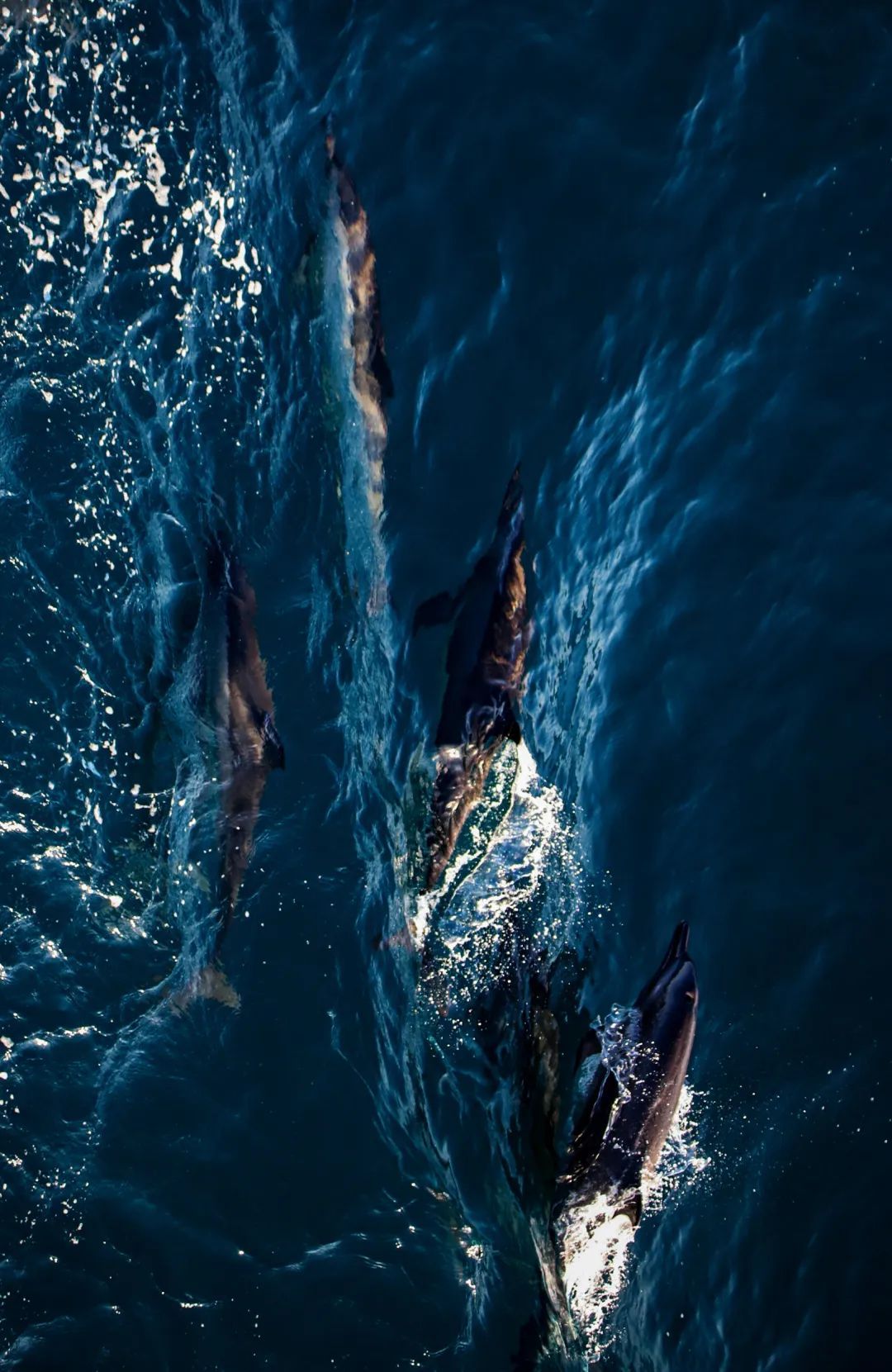 星辰大海在线免费看完 3a3b-3ce3a541fb8531e2975e48ecedb3861c.jpg